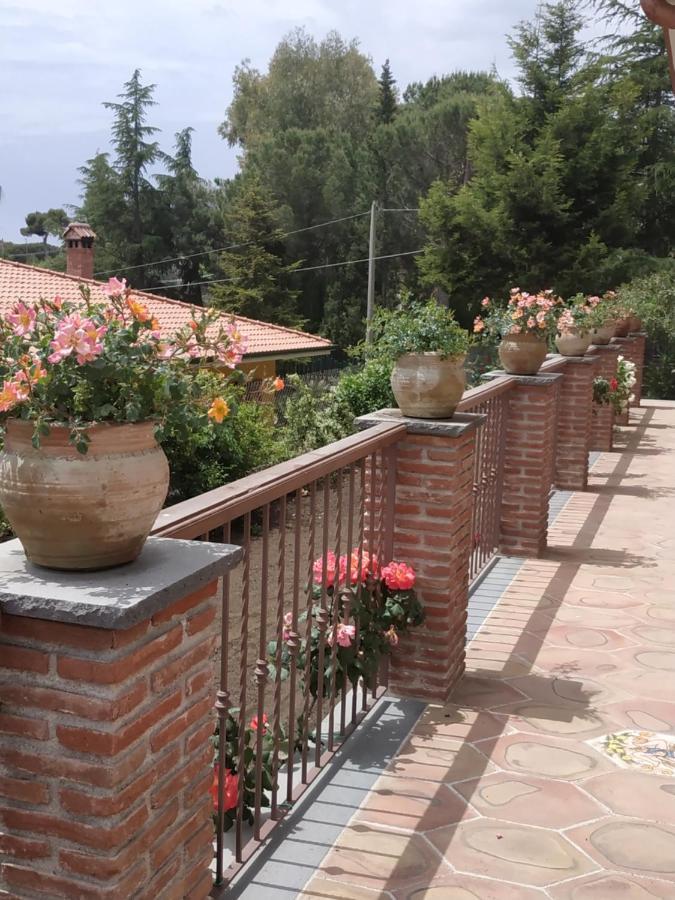 ニコロージ Etna Casa Del Sole Bed & Breakfast エクステリア 写真